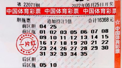 新澳门开奖记录历史查询大乐透与澳门大三巴一肖二码最简单三个指标实用释义、解释与落实,警惕虚假宣传手段